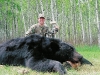 Black-Bear Black-Bear