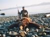 Tom-Cook-Bear Tom-Cook-Bear