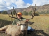 colorado-deer-2010-014 colorado-deer-2010-014