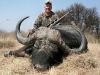 mike-buffalo-ii mike-buffalo-ii